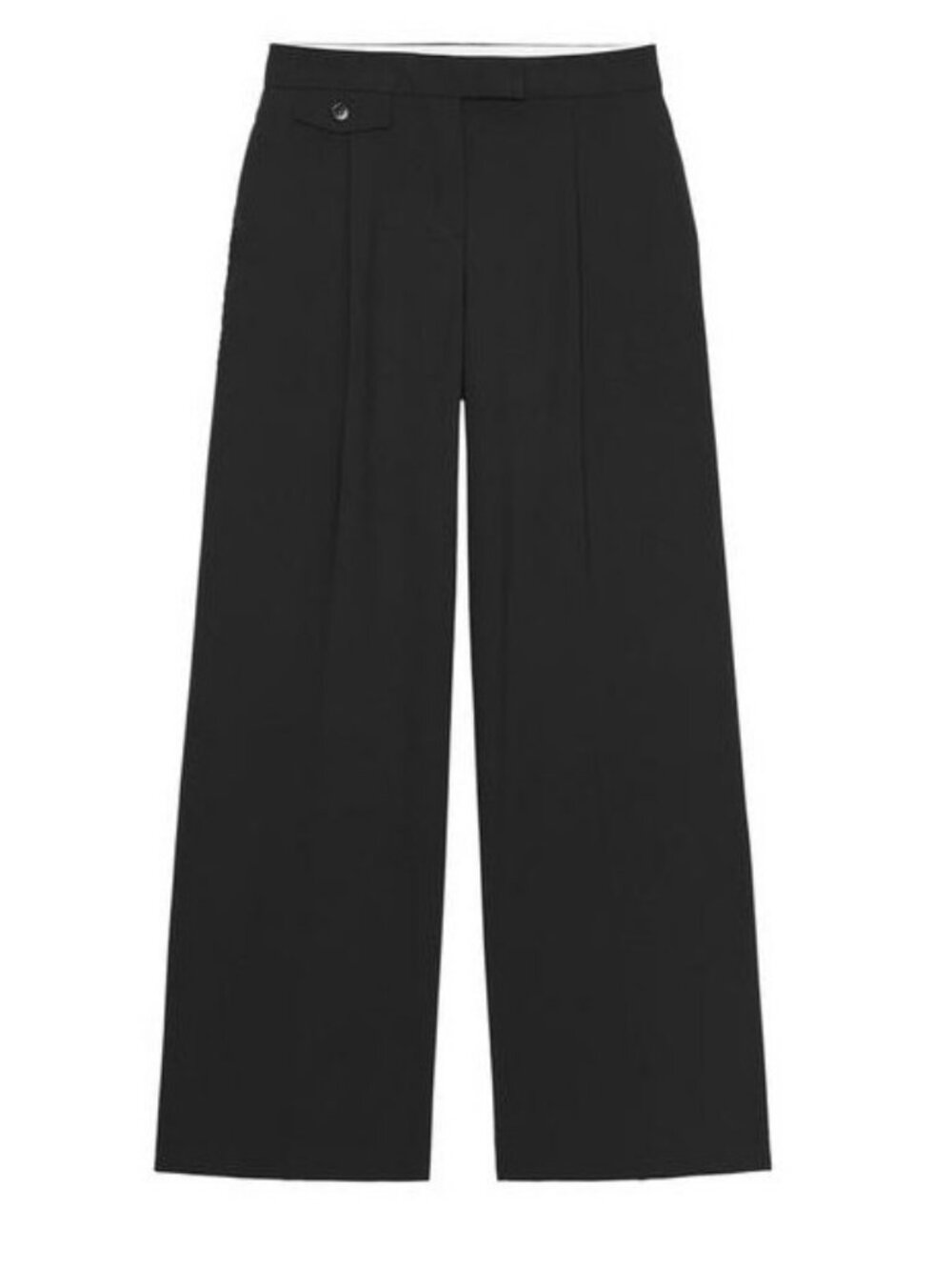NWT Zara Pleated Wide Leg Pants